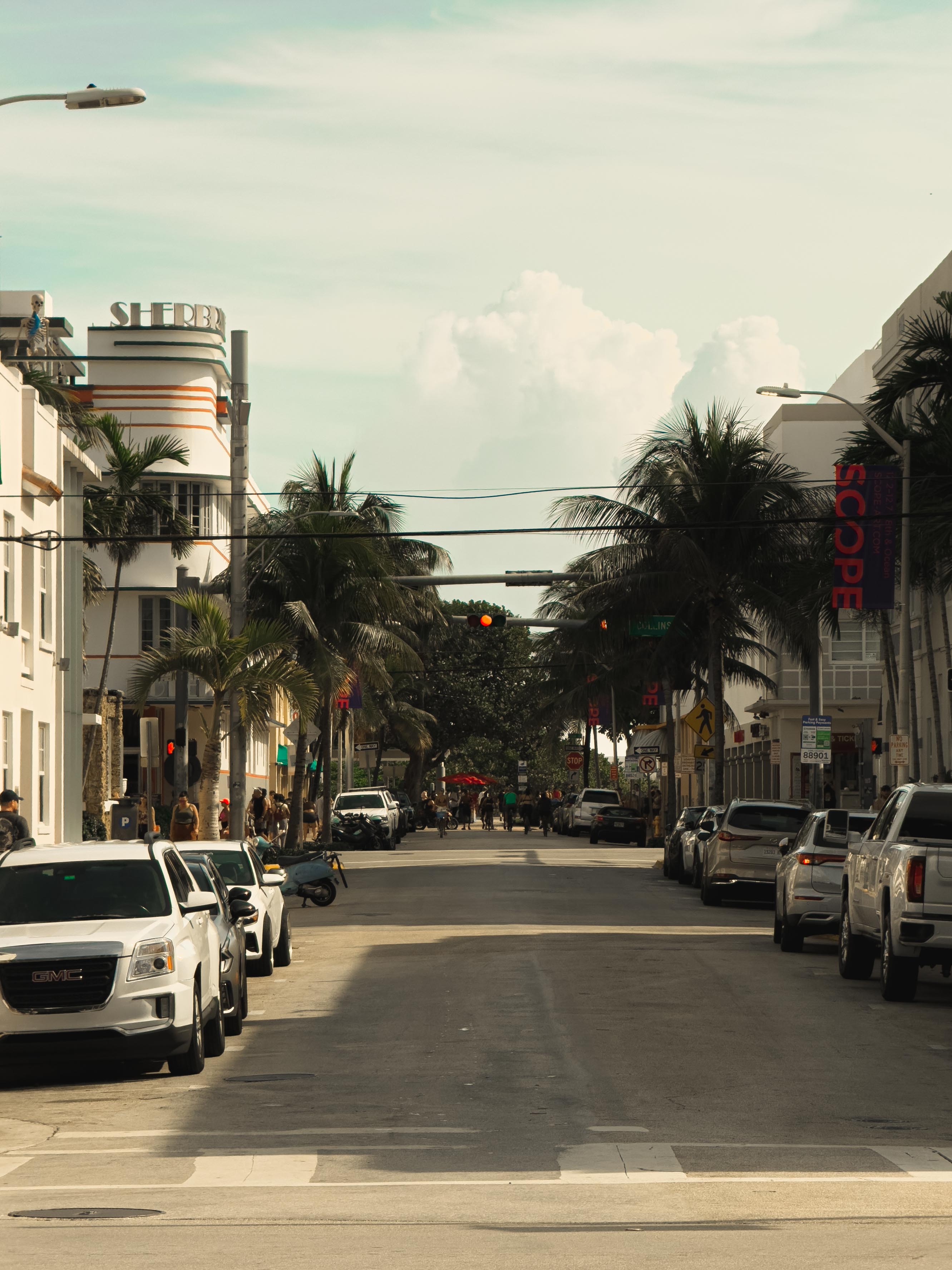 A palm-lined street in daylight