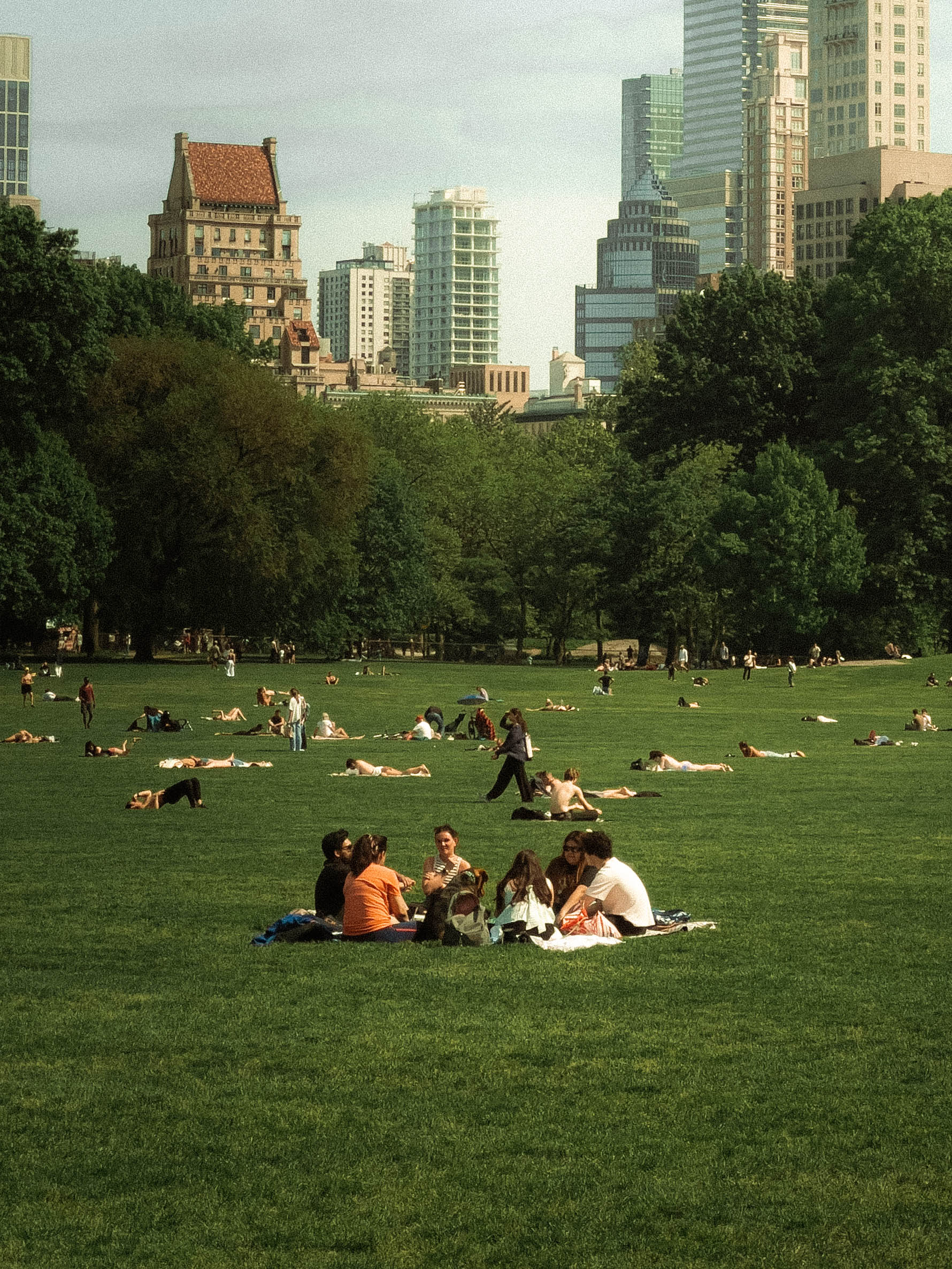 CENTRAL PARK I collection cover