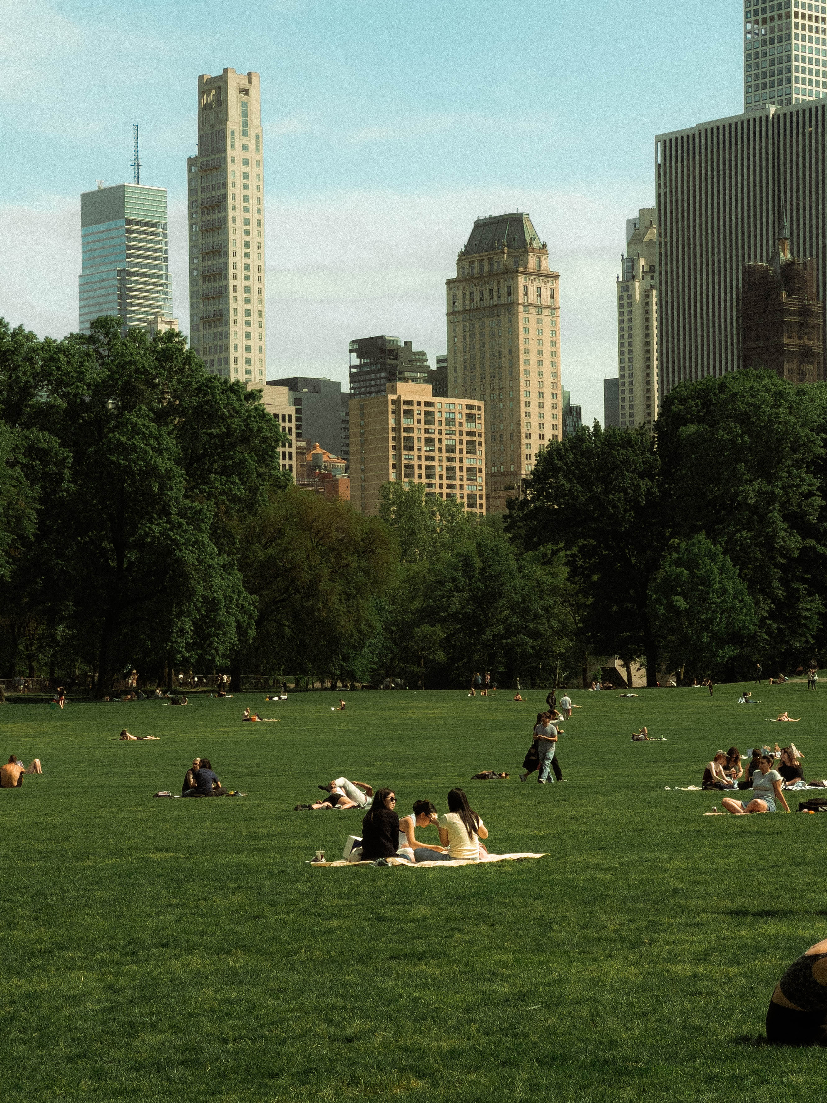 Central Park, photograph 4