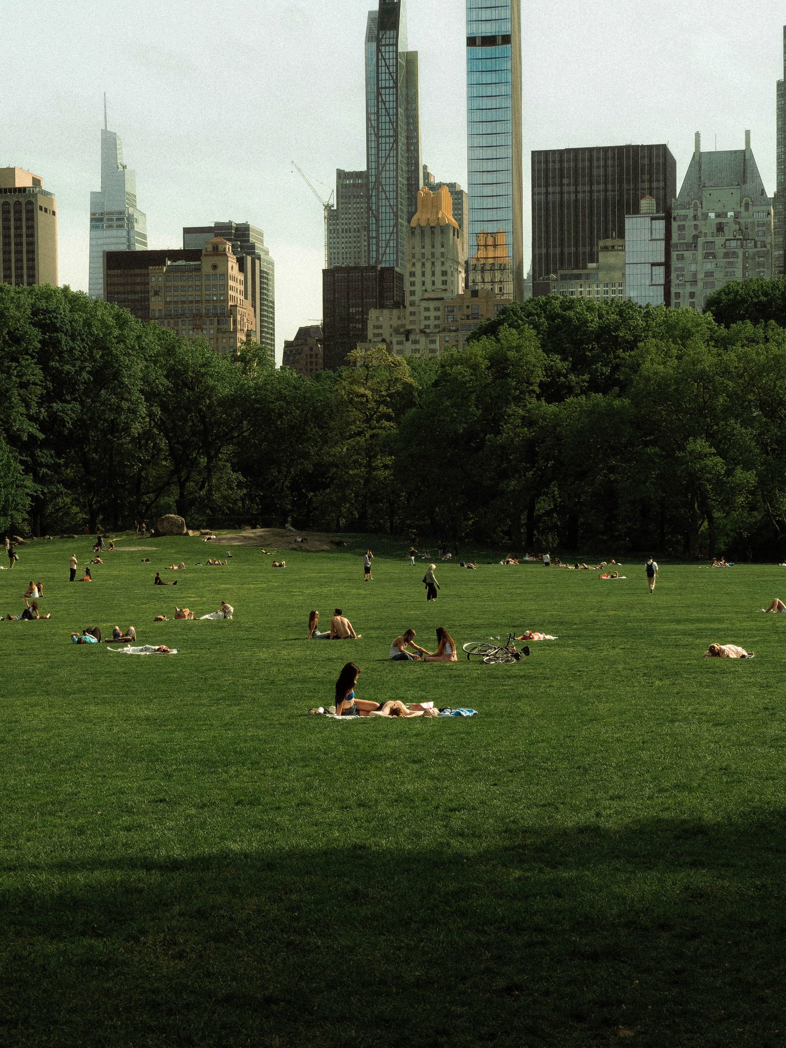 Central Park, photograph 8