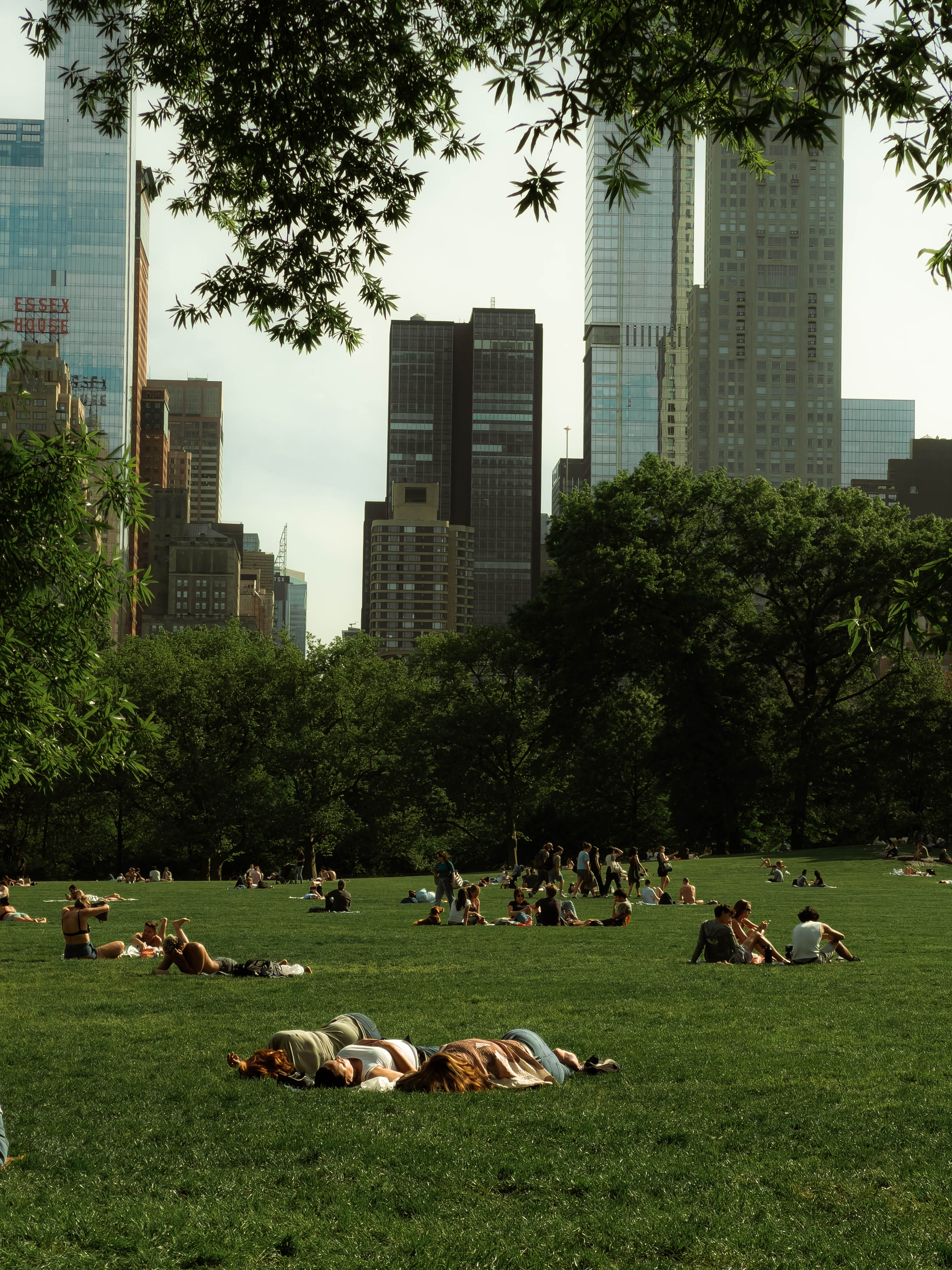 Central Park, photograph 5