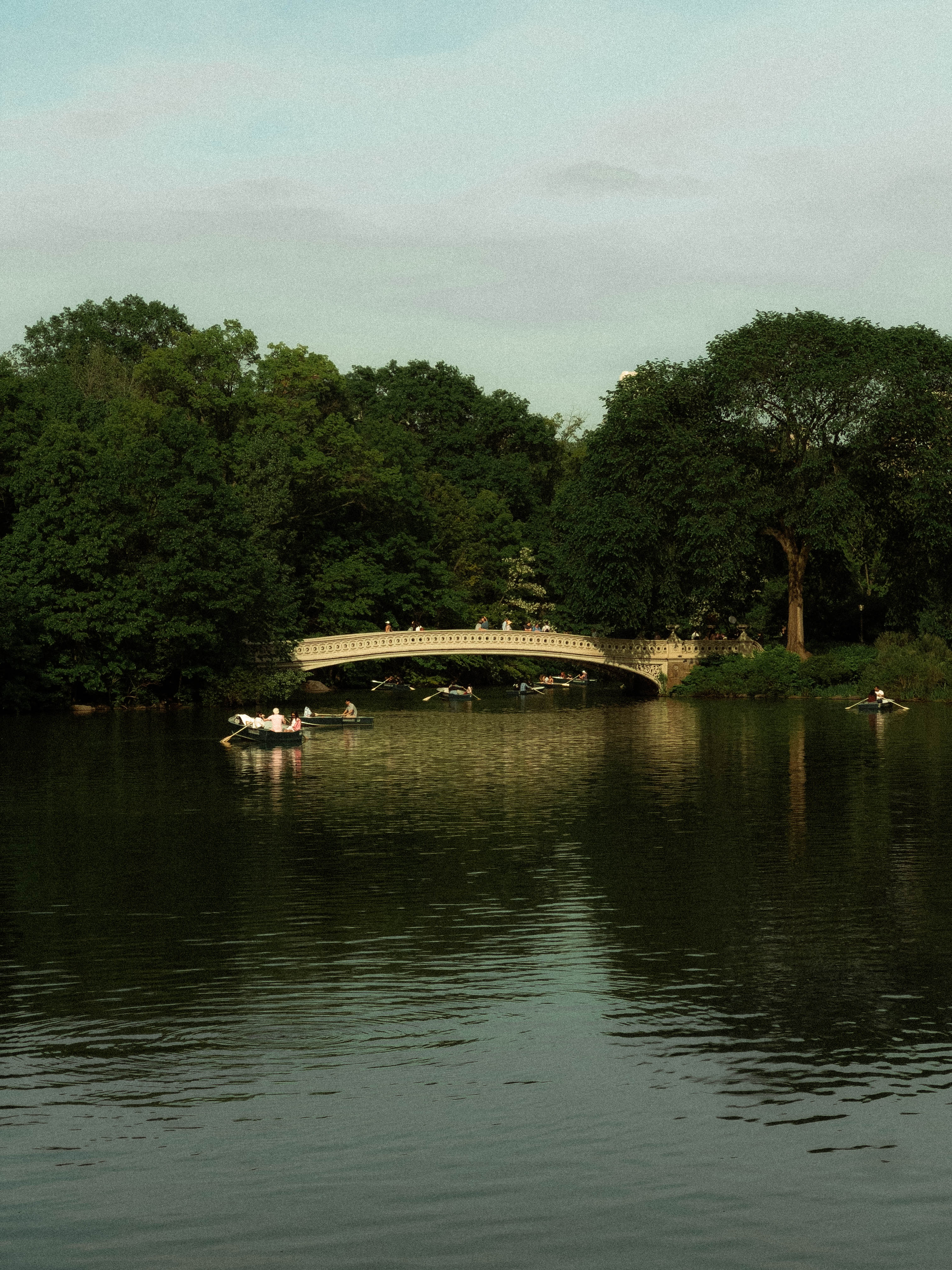 Central Park, photograph 6